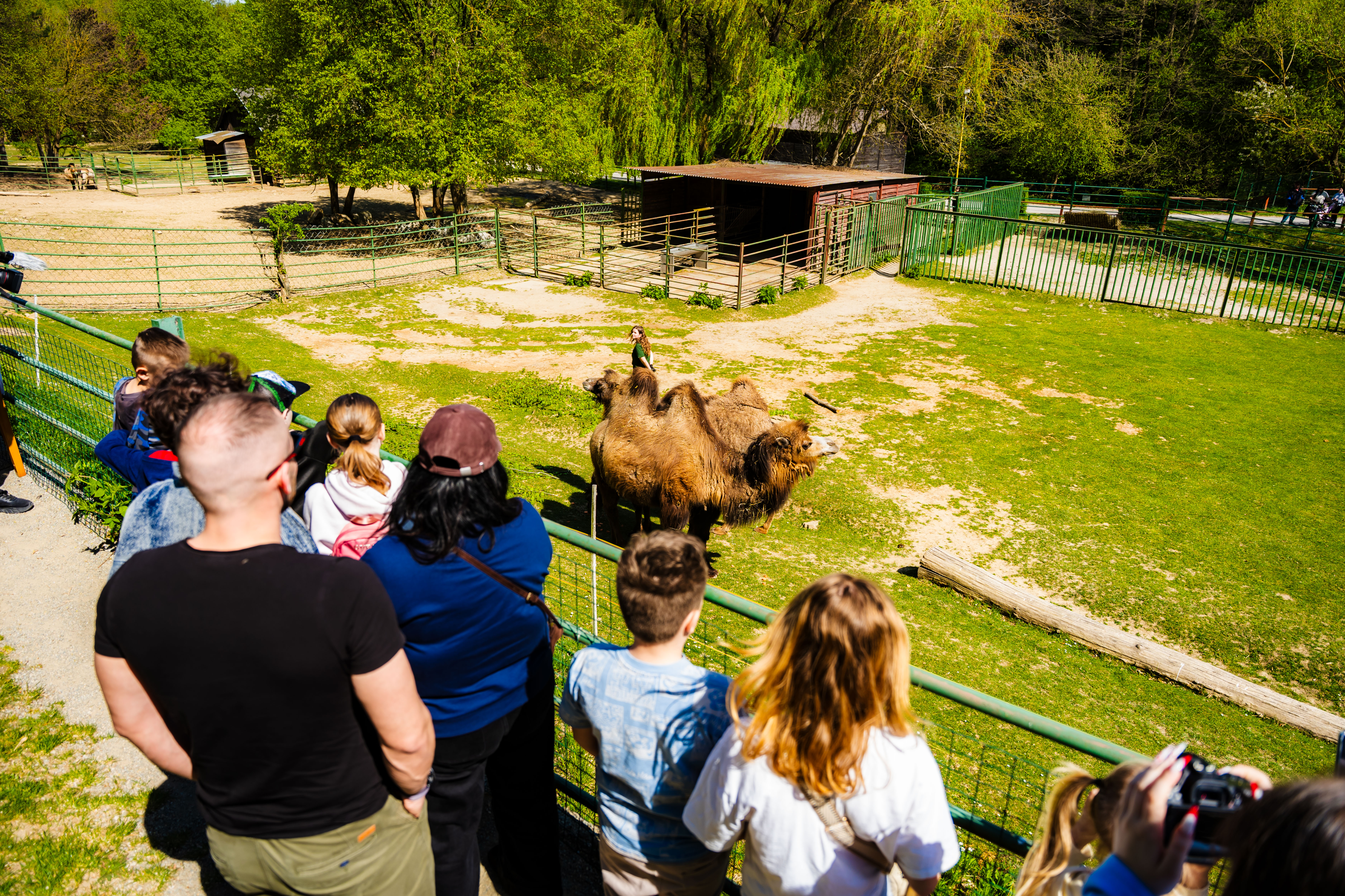 Den Zeme v Kosickej ZOO-1-16